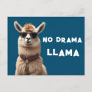 Zoek naar alpaca briefkaarten Schattig