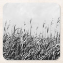 Zoek naar duinen onderzetters Landschap