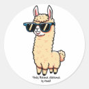 Zoek naar drama lama stickers Dramatisch