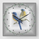 Zoek naar grijze vogel klokken Natuur