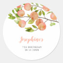 Zoek naar fruit stickers Verjaardagsfeest