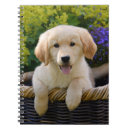 Zoek naar leuke hond notitieboeken Voor haar