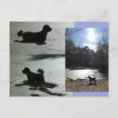 Zoek naar hond silhouet briefkaarten Elk persoon
