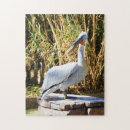 Zoek naar pelikaan puzzels Natuur