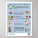 Zoek naar gedrag posters Elk persoon