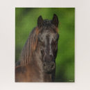 Zoek naar friesian horse puzzels Dier