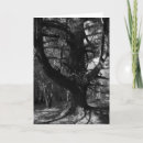 Zoek naar ansel adams kaarten Fotografie