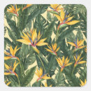 Zoek naar paradijsvogel stickers Botanisch