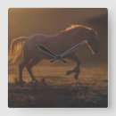 Zoek naar appaloosa klokken Paard