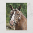 Zoek naar wandelaar briefkaarten Elk persoon