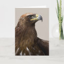 Zoek naar bewakers kaarten Vogel