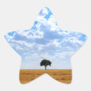 Zoek naar camino stickers Compostela
