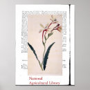 Zoek naar botanische druk posters Natuur