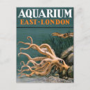 Zoek naar vintage octopus briefkaarten Oceaan