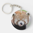 Zoek naar red panda sleutelhangers Natuur