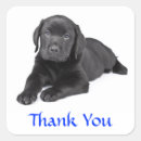 Zoek naar zwart labrador stickers Retriever