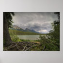 Zoek naar boom wortels posters Meer