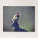 Zoek naar hummingbird puzzels Groen