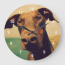 Zoek naar funny dogs klokken Hond