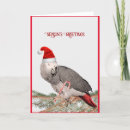 Zoek naar kerstkaart papegaai kaarten Grijs