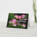 Zoek naar mimosa kaarten Floral