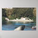 Zoek naar onderzeeër posters Nemo