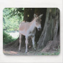 Zoek naar ezel muismatten Schattig