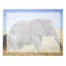 Zoek naar olifant notitieblokken Wilde dieren