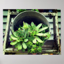 Zoek naar emmer posters Voor haar