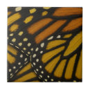 Zoek naar mariposa tegels Natuur