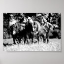 Zoek naar ploeg posters Paarden