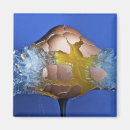 Zoek naar kogels magneten Munitie