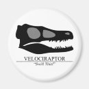Zoek naar jura magneten Raptor