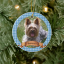 Zoek naar huisdier ornamenten Huisdier foto kerstmis