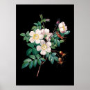 Zoek naar roze zwart wit posters Voor haar