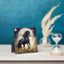 Zoek naar paarden fotoplaat Bloemen