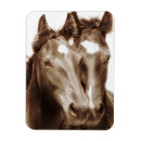 Zoek naar paard magneten Portret