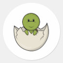 Zoek naar baby schildpad stickers Schildpadden