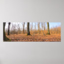 Zoek naar herfstbos posters Voor hem/haar