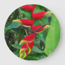 Zoek naar heliconia kunst Tropisch