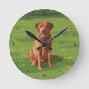 Zoek naar dog klokken Animals