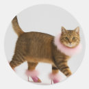 Zoek naar pluizig stickers Voor iedereen