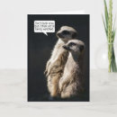 Zoek naar meerkat kaarten Kruideniet