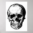 Zoek naar pirate kunst Voor iedereen