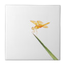 Zoek naar macro tegels Dier