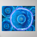 Zoek naar immuunsysteem posters Driedimensionaal