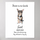 Zoek naar huisdierbenodigdheden Memorial