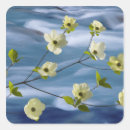 Zoek naar kornoelje stickers Flora