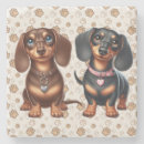 Zoek naar teckel onderzetters Puppy