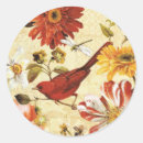 Zoek naar oranje vogel stickers Voor iedereen